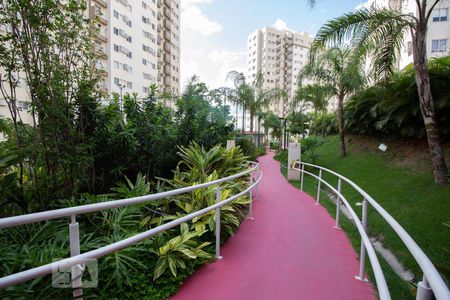Apartamento para alugar com 60m², 2 quartos e 1 vaga Apartamento para alugar com 60m², 2 quartos e 1 vagaBosque