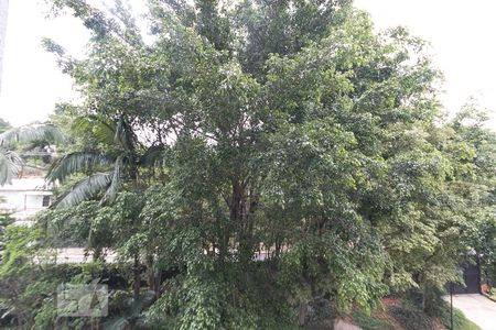 Vista do quarto 1 de apartamento à venda com 3 quartos, 78m² em Vila Firmiano Pinto, São Paulo