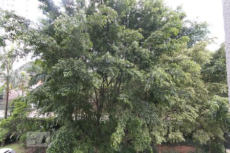 Apartamento à venda com 78m², 3 quartos e 1 vagaVista da suíte 