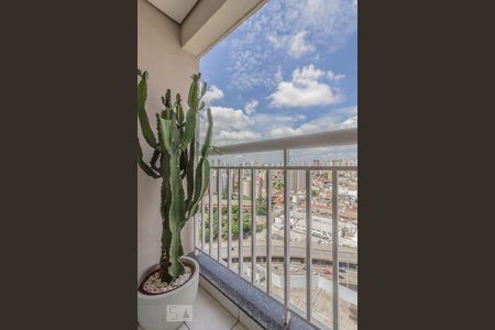 Varanda de apartamento para alugar com 3 quartos, 60m² em Liberdade, São Paulo