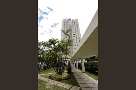 fachada de apartamento para alugar com 2 quartos, 70m² em Super Quadra Morumbi, São Paulo