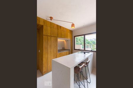 Cozinha de apartamento para alugar com 1 quarto, 100m² em Vila Olímpia, São Paulo