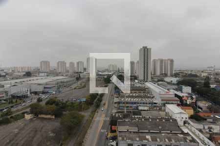 Vista do Quarto  de apartamento para alugar com 2 quartos, 61m² em Vila Endres, Guarulhos