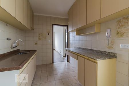 Cozinha de apartamento para alugar com 2 quartos, 65m² em Vila das Palmeiras, Guarulhos