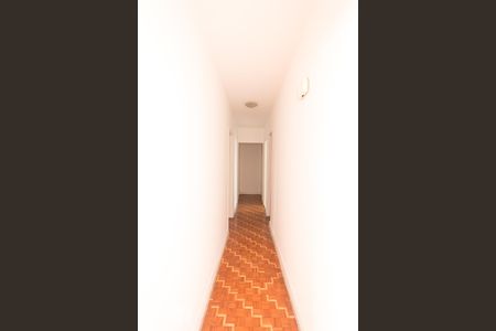 Closet  de apartamento para alugar com 3 quartos, 117m² em Vila Mariana, São Paulo