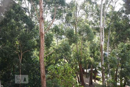 Vista de apartamento para alugar com 2 quartos, 49m² em Jardim Ampliação, São Paulo