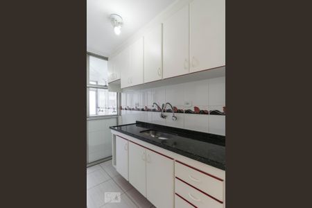Apartamento para alugar com 62m², 2 quartos e 1 vagaCozinha (Armários)