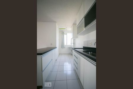 Cozinha de apartamento para alugar com 2 quartos, 44m² em Vila Marieta, Campinas