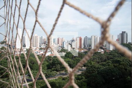 Vista da Varanda da Sala de apartamento para alugar com 2 quartos, 48m² em Vila Monte Alegre, São Paulo