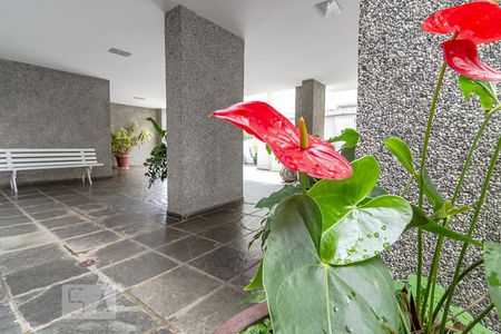 Apartamento à venda com 180m², 5 quartos e 4 vagasÁrea Livre