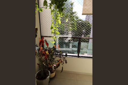 Apartamento à venda com 2 quartos, 45m² em Jardim Ampliação, São Paulo