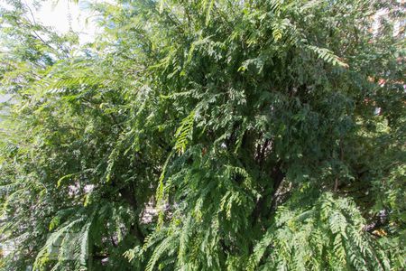 Apartamento à venda com 80m², 2 quartos e 1 vagaVista Sala