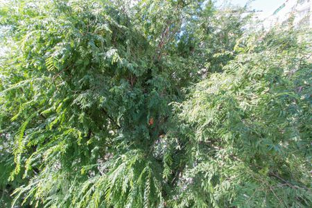 Apartamento à venda com 80m², 2 quartos e 1 vagaVista Quarto 1