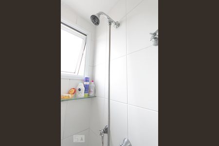 Banheiro  de apartamento para alugar com 2 quartos, 45m² em Jardim Maria Estela, São Paulo