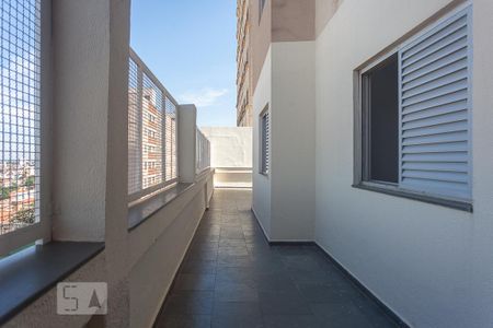 Varanda de apartamento para alugar com 3 quartos, 168m² em Vila São Jorge, Campinas