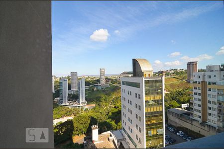 Vista de apartamento para alugar com 2 quartos, 103m² em Vila da Serra, Nova Lima