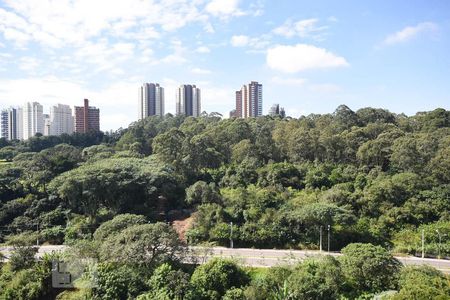 Vista de apartamento para alugar com 2 quartos, 46m² em Jardim Ampliação, São Paulo