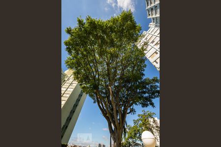 Apartamento à venda com 64m², 2 quartos e 1 vaga Apartamento à venda com 64m², 2 quartos e 1 vagaÁrea Comum