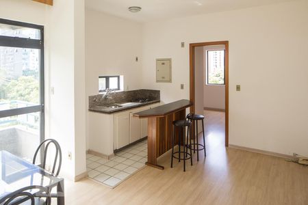 Sala de apartamento para alugar com 1 quarto, 50m² em Lourdes, Belo Horizonte