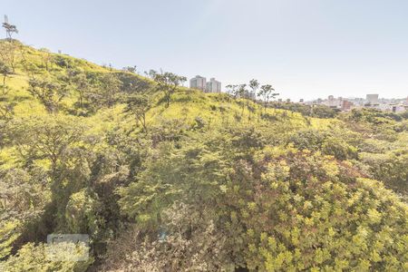 Apartamento para alugar com 67m², 3 quartos e 1 vagaVista do Quarto 1