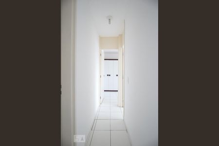 Corredor de apartamento para alugar com 2 quartos, 65m² em São Cristóvão, Rio de Janeiro