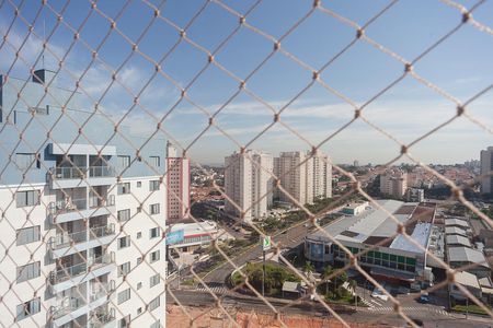 Varanda de apartamento para alugar com 3 quartos, 73m² em Vila São Bento, Campinas
