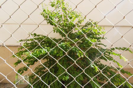 Apartamento à venda com 66m², 2 quartos e 1 vagaVista Varanda