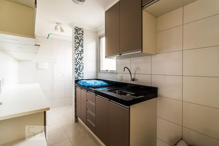 Cozinha de apartamento para alugar com 2 quartos, 50m² em Lapa de Baixo, São Paulo