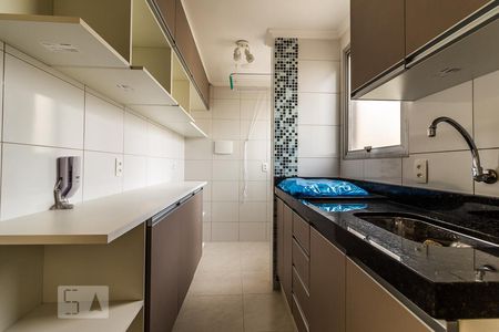 Cozinha de apartamento para alugar com 2 quartos, 50m² em Lapa de Baixo, São Paulo