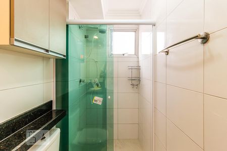 Banheiro de apartamento para alugar com 2 quartos, 50m² em Lapa de Baixo, São Paulo
