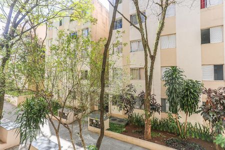 Quarto 1 Vista de apartamento à venda com 2 quartos, 56m² em Vila São Silvestre, São Paulo