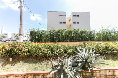 Vista de apartamento à venda com 2 quartos, 55m² em Jardim das Bandeiras, Campinas