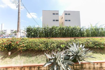 Vista de apartamento para alugar com 2 quartos, 55m² em Jardim das Bandeiras, Campinas