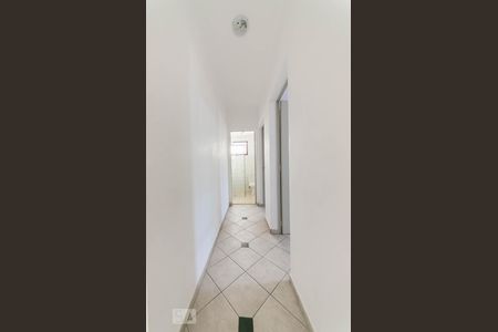 Corredor de apartamento para alugar com 2 quartos, 55m² em Jardim das Bandeiras, Campinas