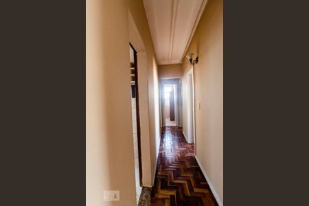 Corredor  de apartamento para alugar com 3 quartos, 80m² em Nova Suíssa, Belo Horizonte