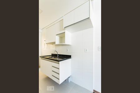 Cozinha de apartamento para alugar com 1 quarto, 35m² em Chácara da Barra, Campinas