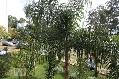 Apartamento à venda com 67m², 3 quartos e 1 vaga Apartamento à venda com 67m², 3 quartos e 1 vagaVista do Quarto 02