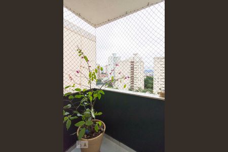 Sacada de apartamento para alugar com 2 quartos, 58m² em Limão, São Paulo