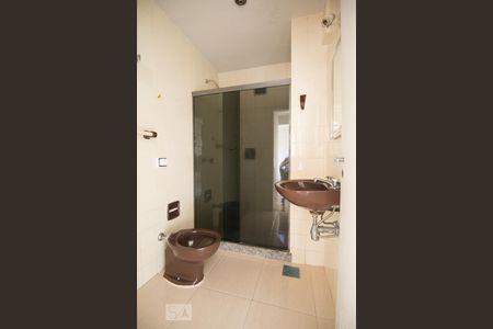 Banheiro/Box blindex de apartamento para alugar com 2 quartos, 70m² em Vila Isabel, Rio de Janeiro