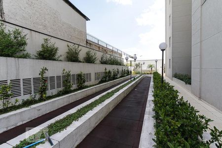 Apartamento para alugar com 26m², 2 quartos e 1 vagapista de cooper