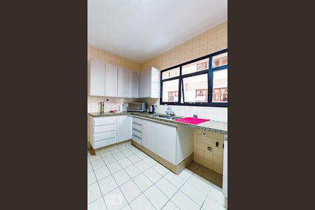 Apartamento à venda com 398m², 5 quartos e sem vagaCozinha