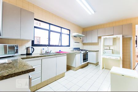 Apartamento à venda com 398m², 5 quartos e sem vagaCozinha