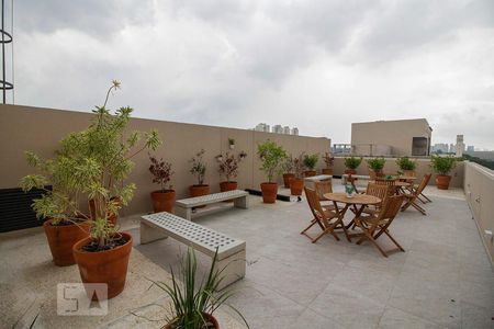 Apartamento para alugar com 35m², 2 quartos e sem vaga Apartamento para alugar com 35m², 2 quartos e sem vagaMirante