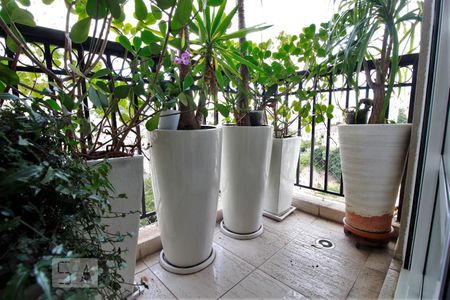 Apartamento para alugar com 150m², 3 quartos e 4 vagasVaranda