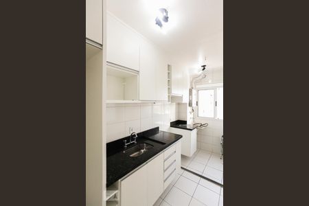 Cozinha de apartamento para alugar com 2 quartos, 46m² em Vila Venditti, Guarulhos