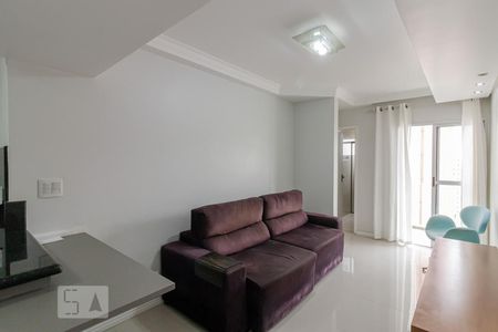 Sala de apartamento para alugar com 2 quartos, 56m² em Cambuci, São Paulo
