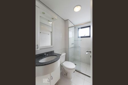 Banheiro social de apartamento para alugar com 3 quartos, 65m² em Vila Gumercindo, São Paulo