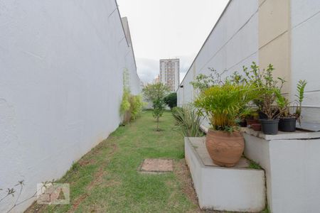 Apartamento para alugar com 54m², 2 quartos e 1 vagaPomar
