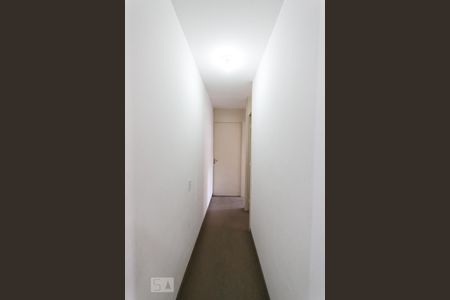 Corredor  de apartamento para alugar com 2 quartos, 70m² em Jardim Santa Emília, São Paulo