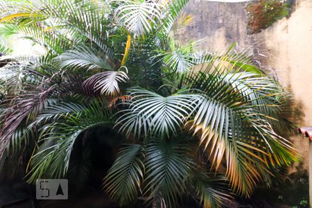 Casa à venda com 692m², 3 quartos e 3 vagasVista